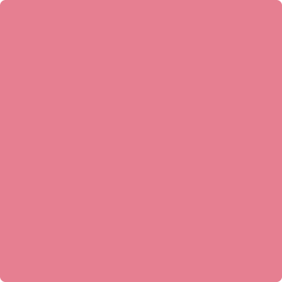 Benjamin Moore's 2004-40 Pink Starburst Paint Color