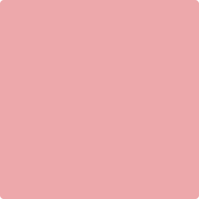 Benjamin Moore's 2006-50 Pink Punch Paint Color