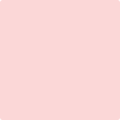 Benjamin Moore's 2008-60 Little Piggy Paint Color