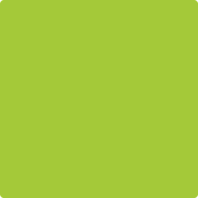 Benjamin Moore's 2026-20 Margarita Paint Color