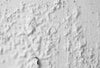 Top 5 Paint Problems and How to Solve Them