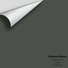 Digital color swatch of Benjamin Moore's Deep River (1582) Peel & Stick Sample available at Ricciardi BRothers in PA, DE, & NJ.