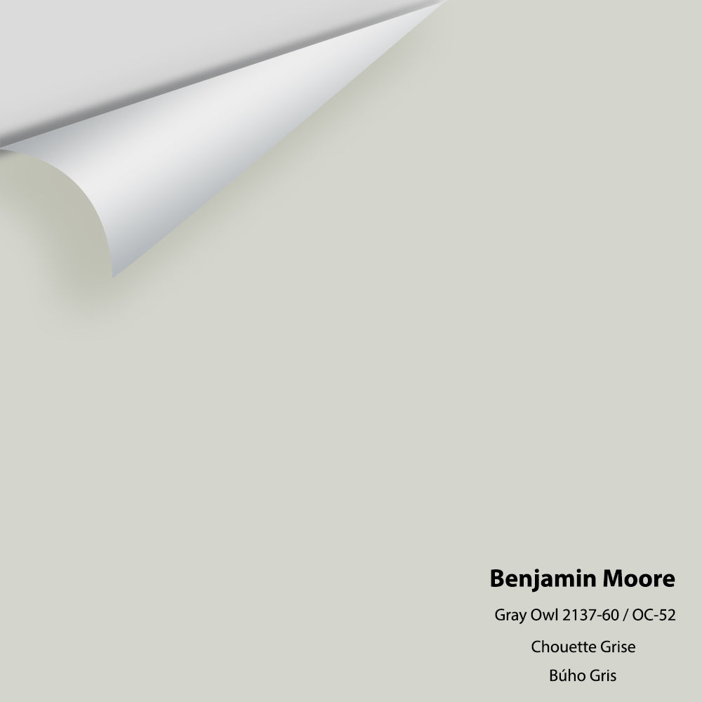 Digital color swatch of Benjamin Moore's Gray Owl OC-52 Peel & Stick Sample available at Ricciardi BRothers in PA, DE, & NJ.