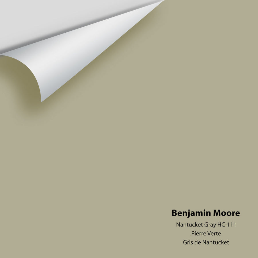 Digital color swatch of Benjamin Moore's Nantucket Gray HC-111 Peel & Stick Sample available at Ricciardi BRothers in PA, DE, & NJ.
