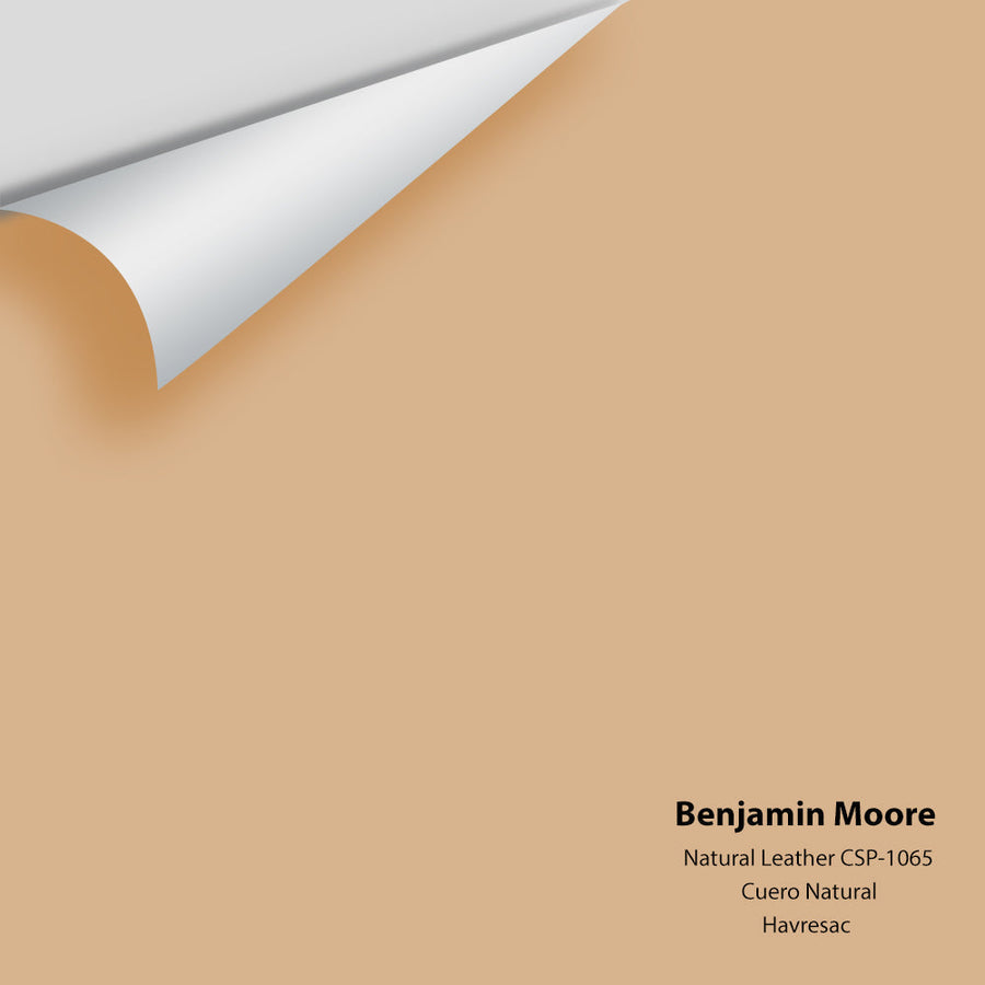 Digital color swatch of Benjamin Moore's Natural Leather CSP-1065 Peel & Stick Sample available at Ricciardi BRothers in PA, DE, & NJ.