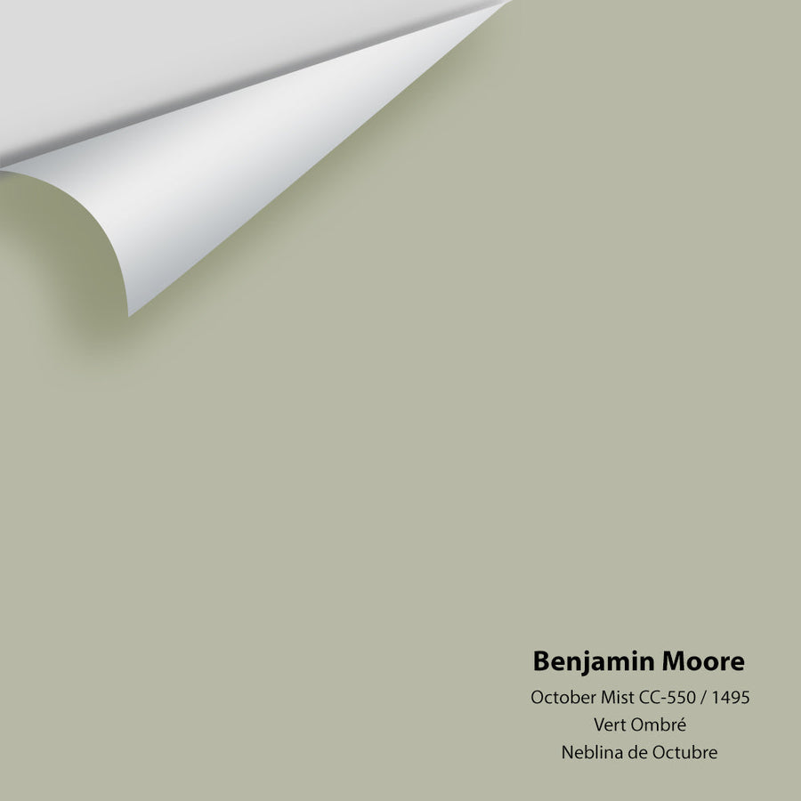 Digital color swatch of Benjamin Moore's October Mist 1495 Peel & Stick Sample available at Ricciardi BRothers in PA, DE, & NJ.