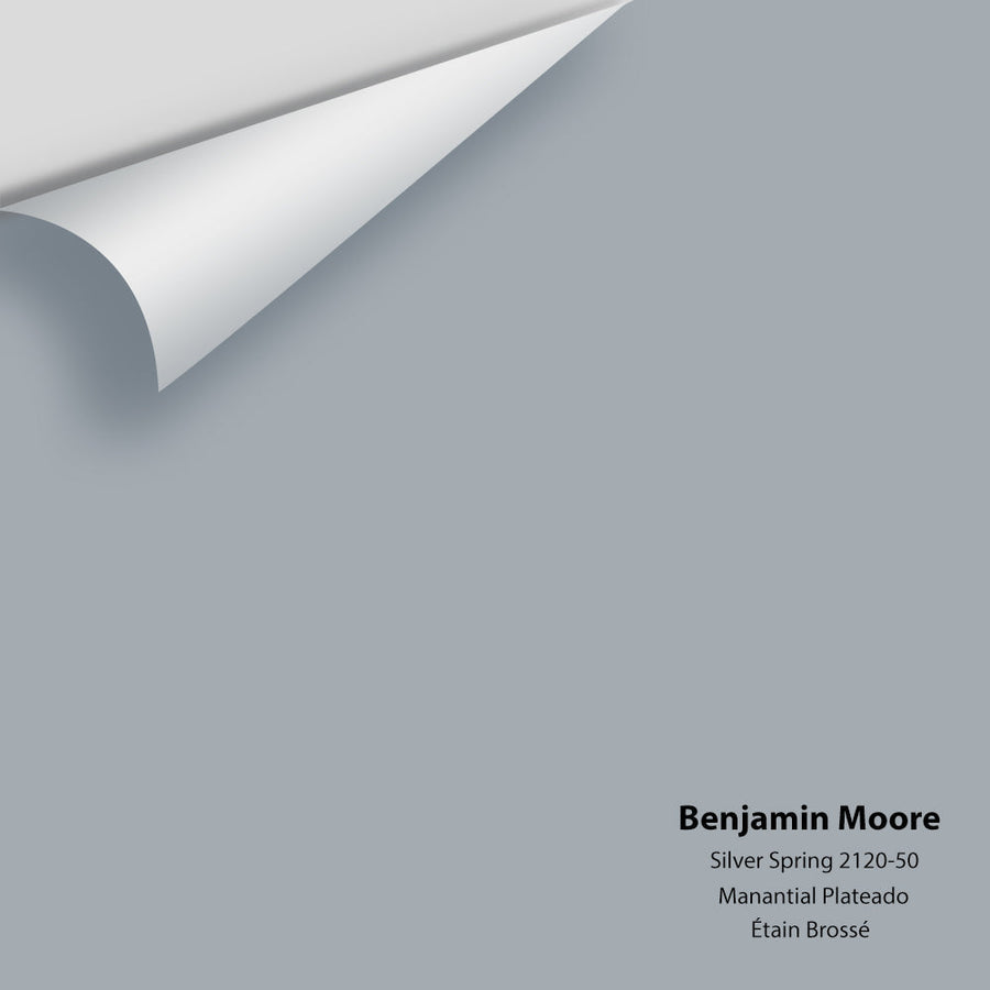 Digital color swatch of Benjamin Moore's Silver Spring 2120-50 Peel & Stick Sample available at Ricciardi BRothers in PA, DE, & NJ.