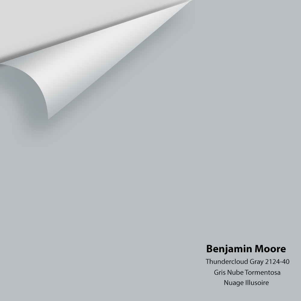 Digital color swatch of Benjamin Moore's Thundercloud Gray 2124-40 Peel & Stick Sample available at Ricciardi BRothers in PA, DE, & NJ.