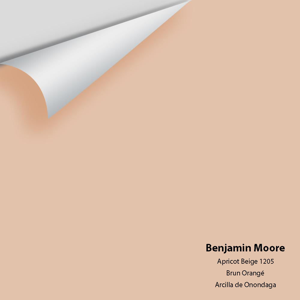 Digital color swatch of Benjamin Moore's Apricot Beige 1205 Peel & Stick Sample available at Ricciardi BRothers in PA, DE, & NJ.