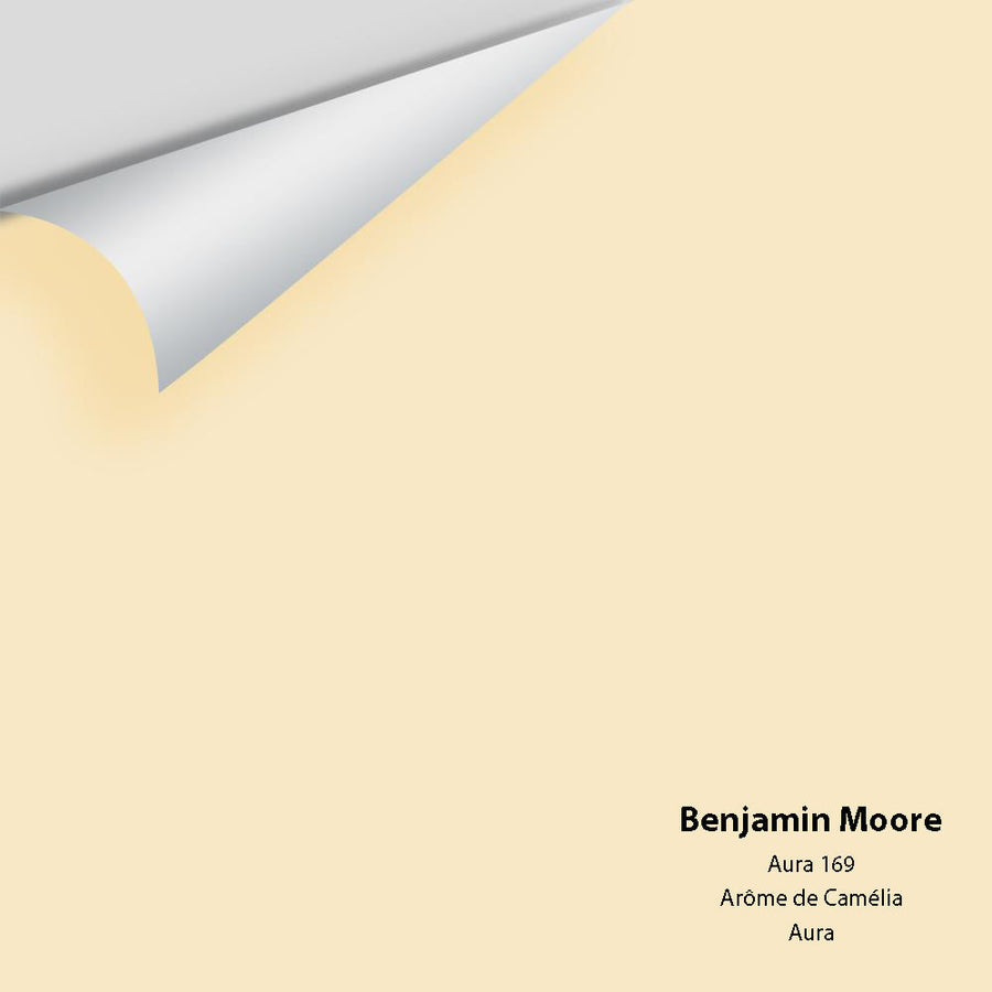 Digital color swatch of Benjamin Moore's Aura 169 Peel & Stick Sample available at Ricciardi BRothers in PA, DE, & NJ.