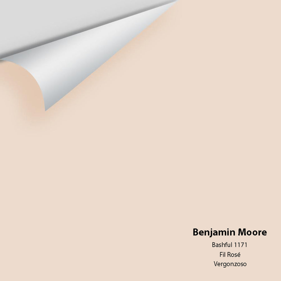 Digital color swatch of Benjamin Moore's Bashful 1171 Peel & Stick Sample available at Ricciardi BRothers in PA, DE, & NJ.