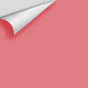 Digital color swatch of Benjamin Moore's Coral Essence 2007-40 Peel & Stick Sample available at Ricciardi BRothers in PA, DE, & NJ.