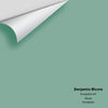 Digital color swatch of Benjamin Moore's Everglades 641 Peel & Stick Sample available at Ricciardi BRothers in PA, DE, & NJ.
