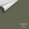 Digital color swatch of Benjamin Moore's Forest Floor 1498 Peel & Stick Sample available at Ricciardi BRothers in PA, DE, & NJ.