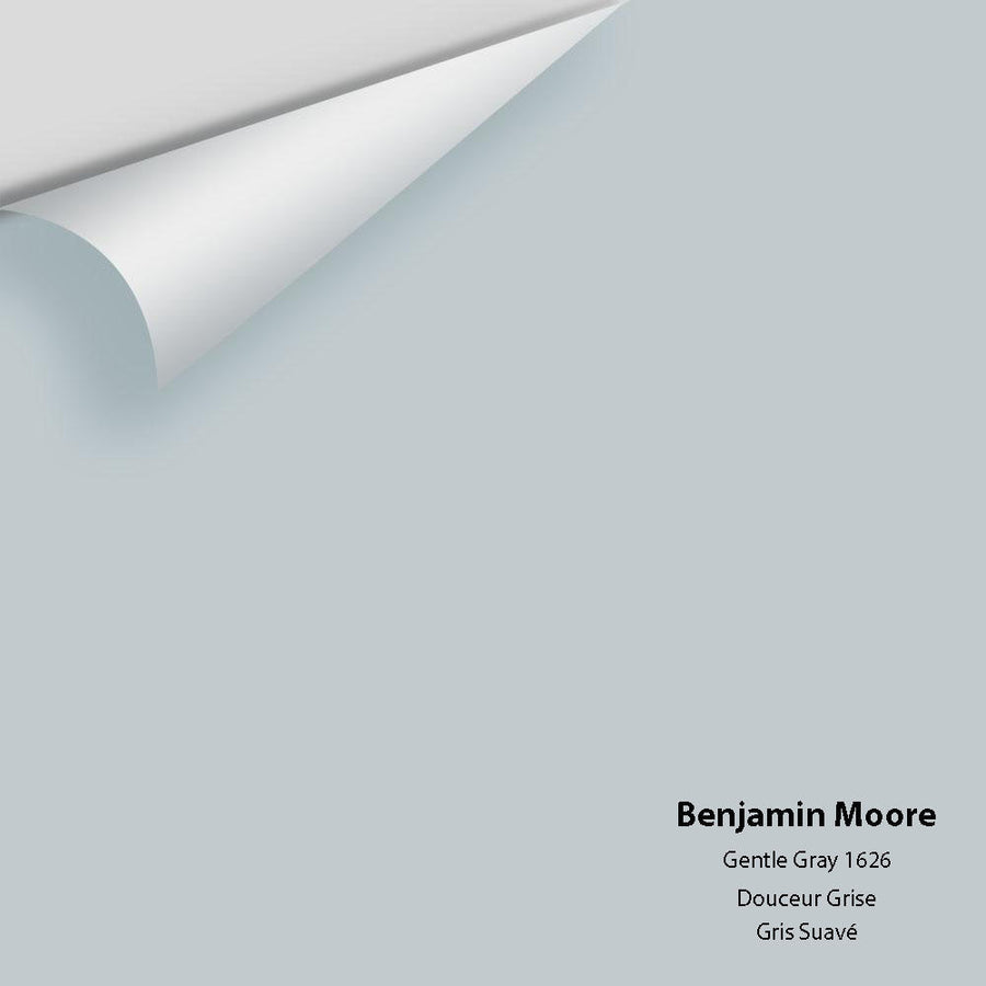 Digital color swatch of Benjamin Moore's Gentle Gray 1626 Peel & Stick Sample available at Ricciardi BRothers in PA, DE, & NJ.