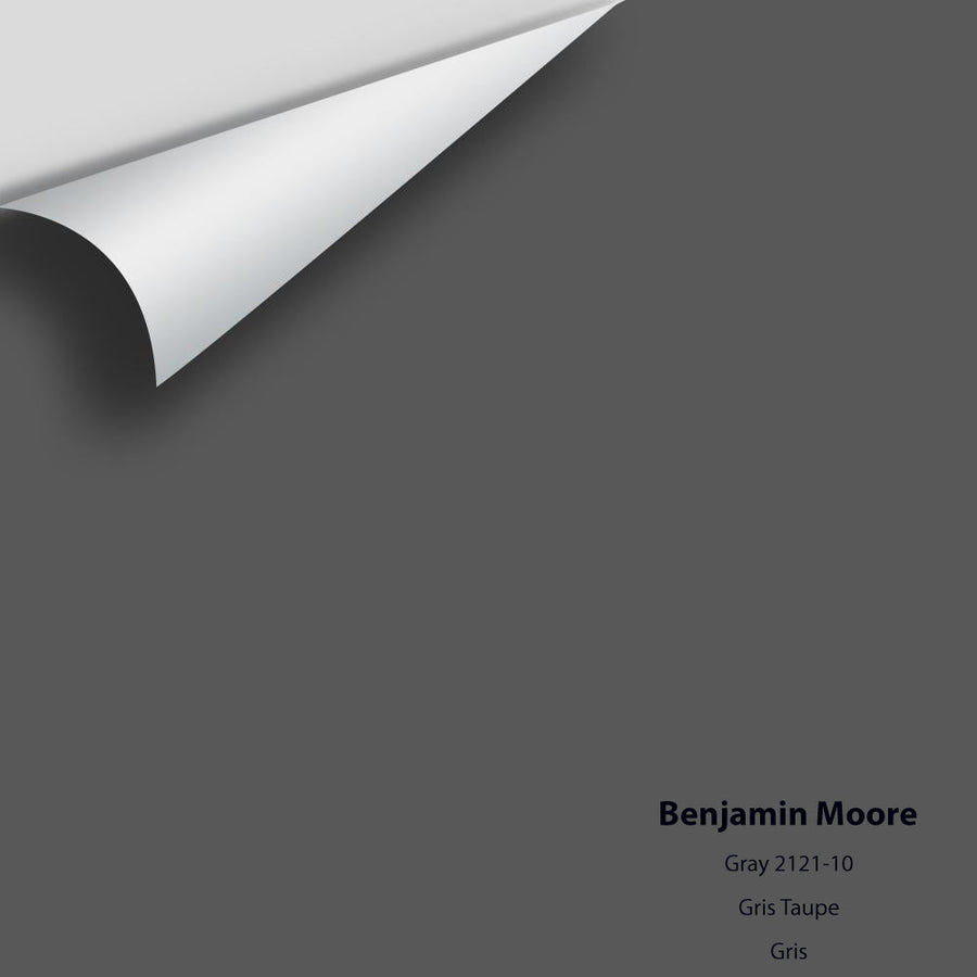 Digital color swatch of Benjamin Moore's Gray 2121-10 Peel & Stick Sample available at Ricciardi BRothers in PA, DE, & NJ.