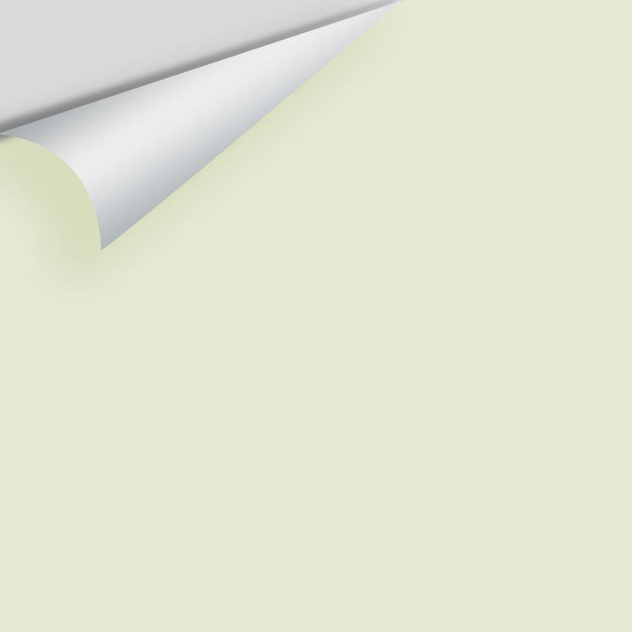 Digital color swatch of Benjamin Moore's Green Frappé 484 Peel & Stick Sample available at Ricciardi BRothers in PA, DE, & NJ.