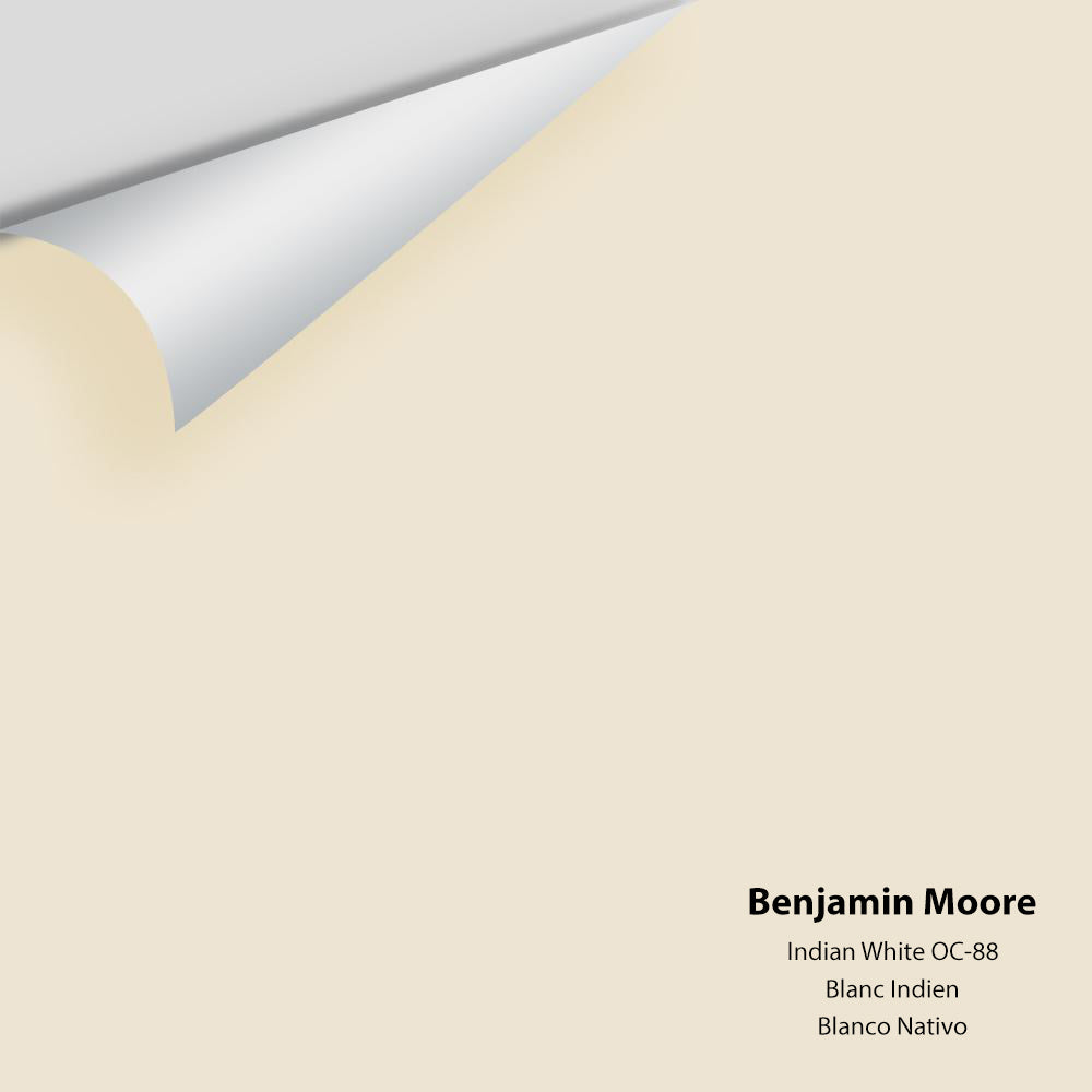 Digital color swatch of Benjamin Moore's Indian White OC-88 Peel & Stick Sample available at Ricciardi BRothers in PA, DE, & NJ.