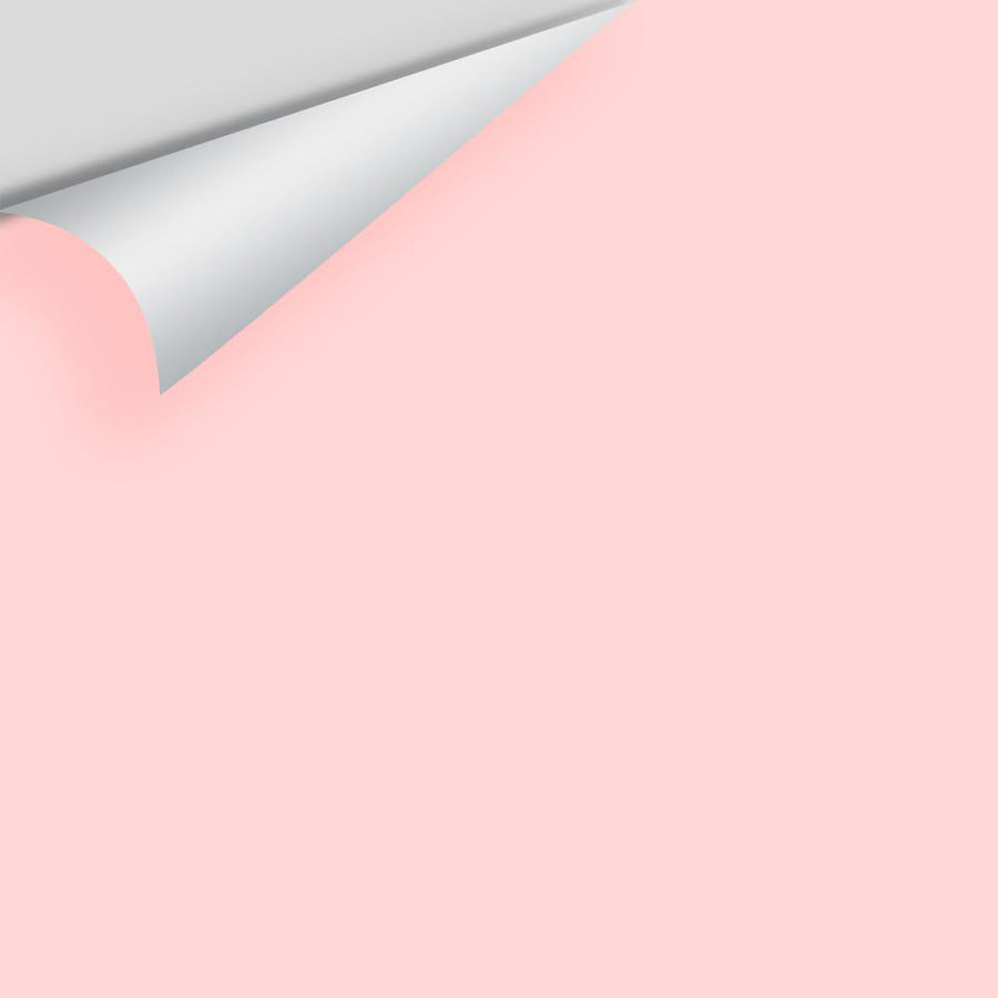 Digital color swatch of Benjamin Moore's Little Piggy 2008-60 Peel & Stick Sample available at Ricciardi BRothers in PA, DE, & NJ.