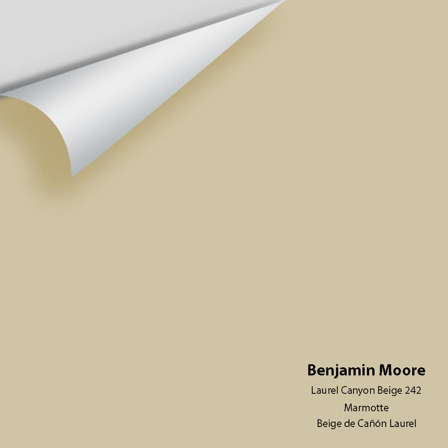 Digital color swatch of Benjamin Moore's Laurel Canyon Beige 242 Peel & Stick Sample available at Ricciardi BRothers in PA, DE, & NJ.