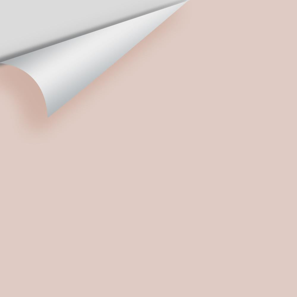 Digital color swatch of Benjamin Moore's Malted Milk 2099-60 Peel & Stick Sample available at Ricciardi BRothers in PA, DE, & NJ.