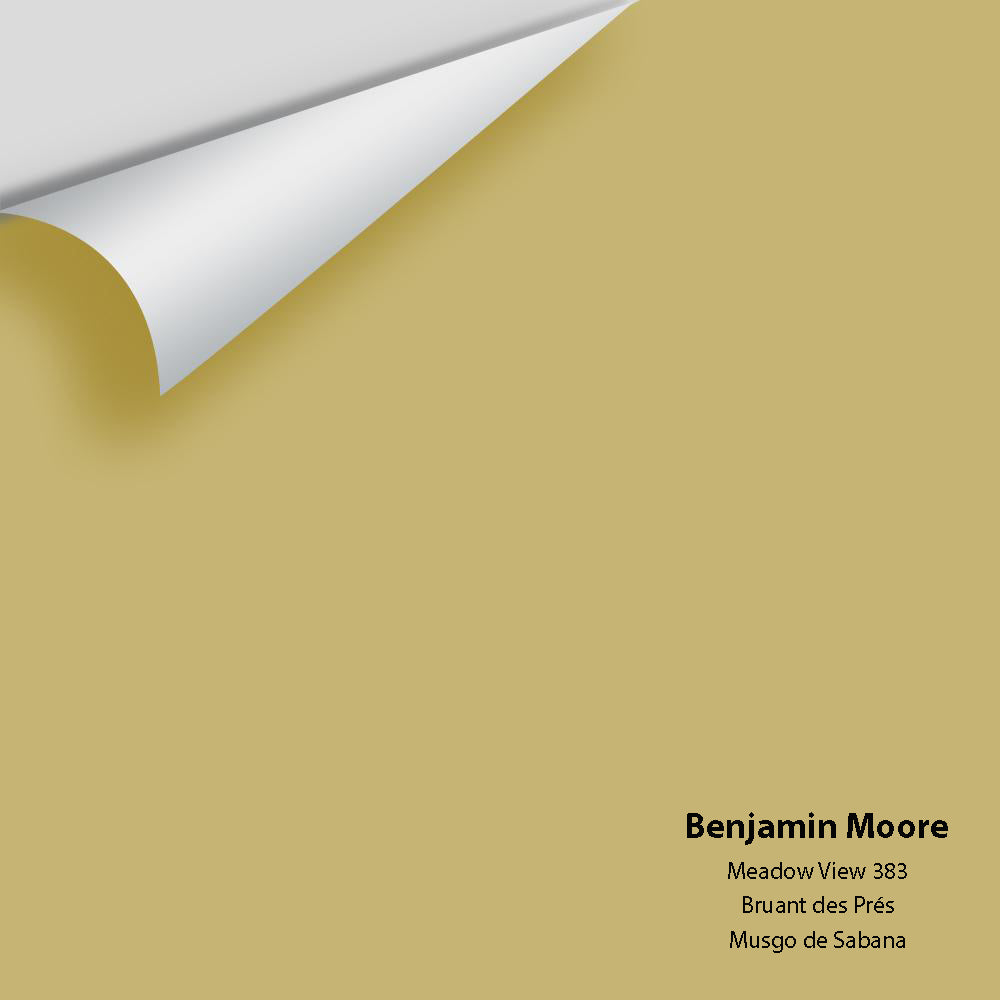 Digital color swatch of Benjamin Moore's Meadow View 383 Peel & Stick Sample available at Ricciardi BRothers in PA, DE, & NJ.