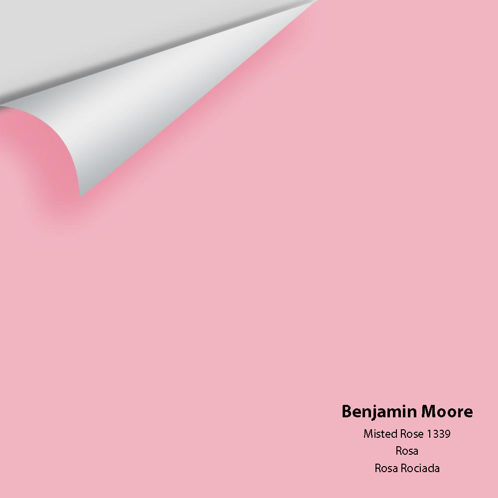 Digital color swatch of Benjamin Moore's Misted Rose 1339 Peel & Stick Sample available at Ricciardi BRothers in PA, DE, & NJ.