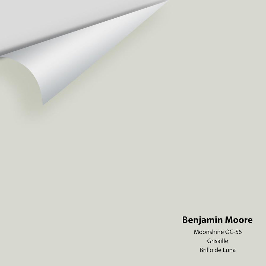 Digital color swatch of Benjamin Moore's Moonshine 2140-60 Peel & Stick Sample available at Ricciardi BRothers in PA, DE, & NJ.