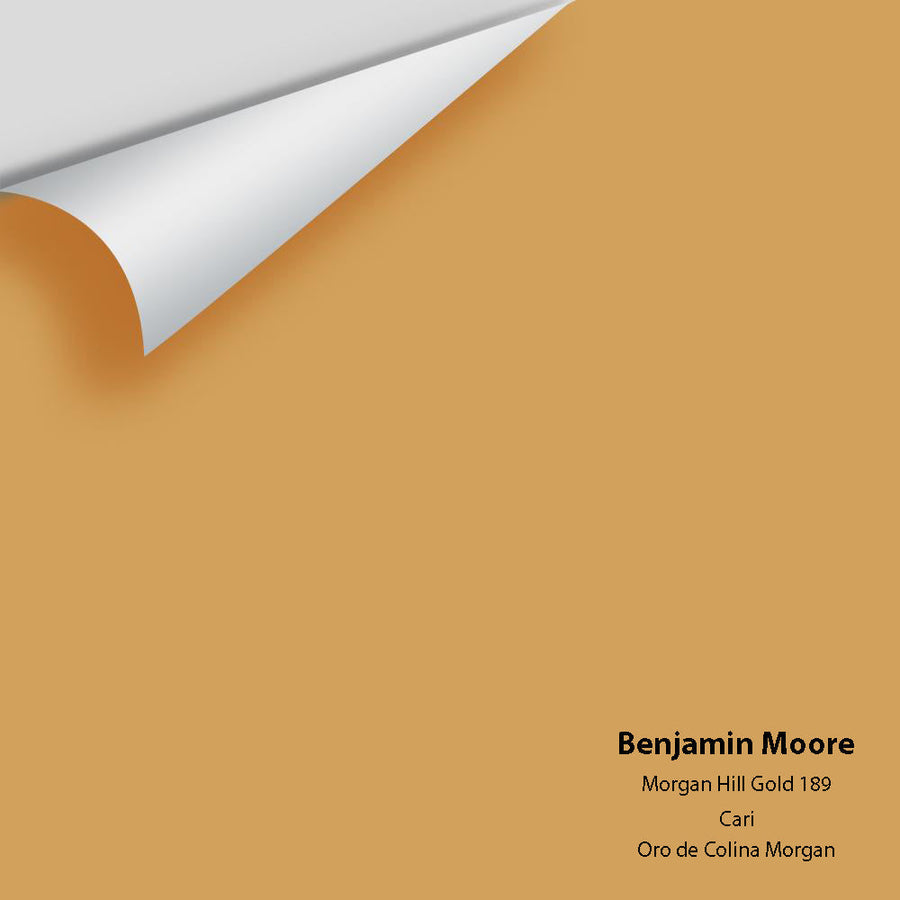 Digital color swatch of Benjamin Moore's Morgan Hill Gold 189 Peel & Stick Sample available at Ricciardi BRothers in PA, DE, & NJ.