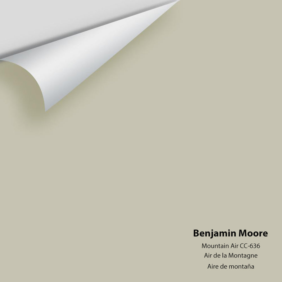 Digital color swatch of Benjamin Moore's Mountain Air CC-636 Peel & Stick Sample available at Ricciardi BRothers in PA, DE, & NJ.