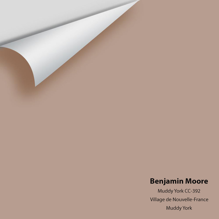 Digital color swatch of Benjamin Moore's Muddy York CC-392 Peel & Stick Sample available at Ricciardi BRothers in PA, DE, & NJ.