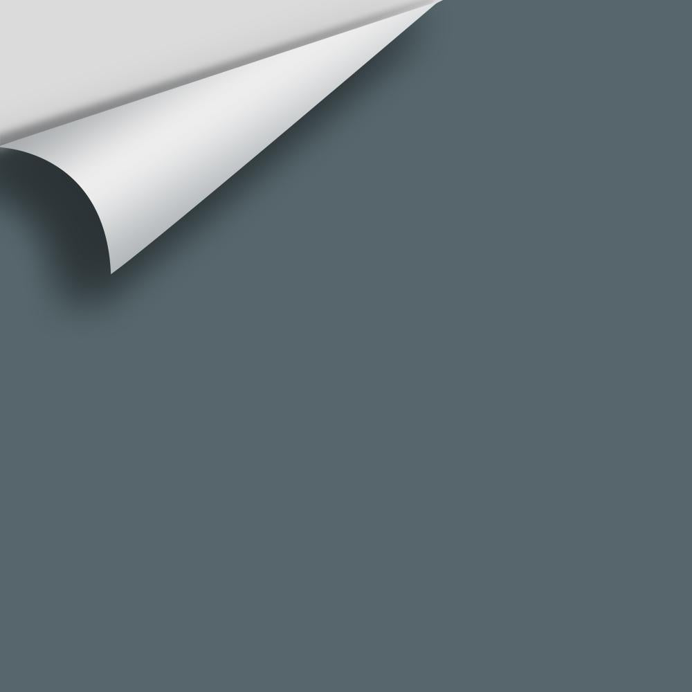 Digital color swatch of Benjamin Moore's Nocturnal Gray 2135-30 Peel & Stick Sample available at Ricciardi BRothers in PA, DE, & NJ.