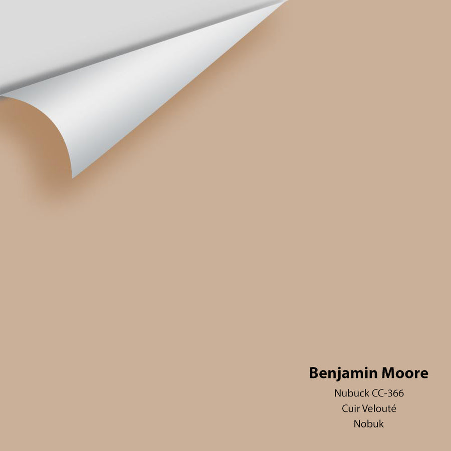 Digital color swatch of Benjamin Moore's Nubuck CC-366 Peel & Stick Sample available at Ricciardi BRothers in PA, DE, & NJ.