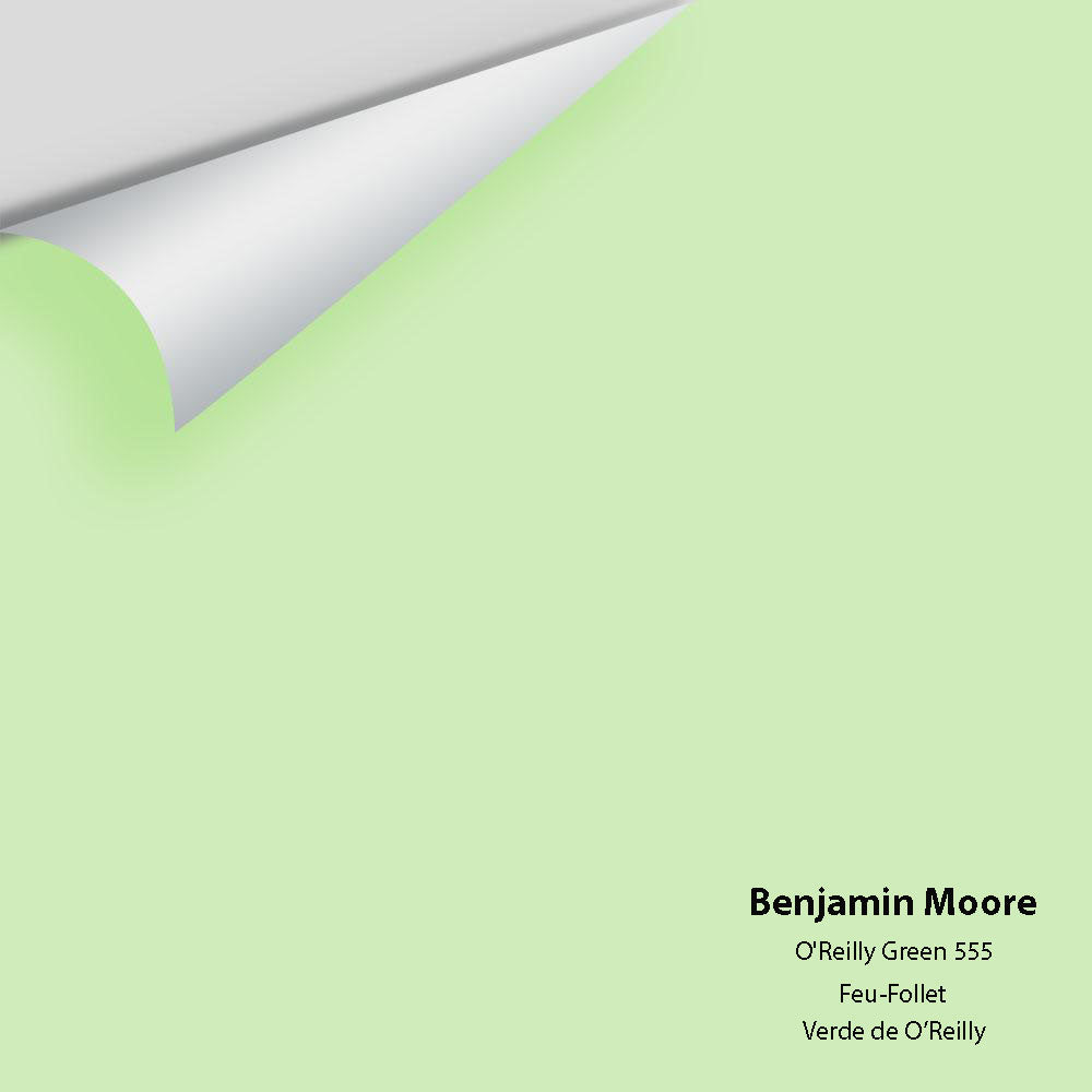 Digital color swatch of Benjamin Moore's O'Reilly Green 555 Peel & Stick Sample available at Ricciardi BRothers in PA, DE, & NJ.