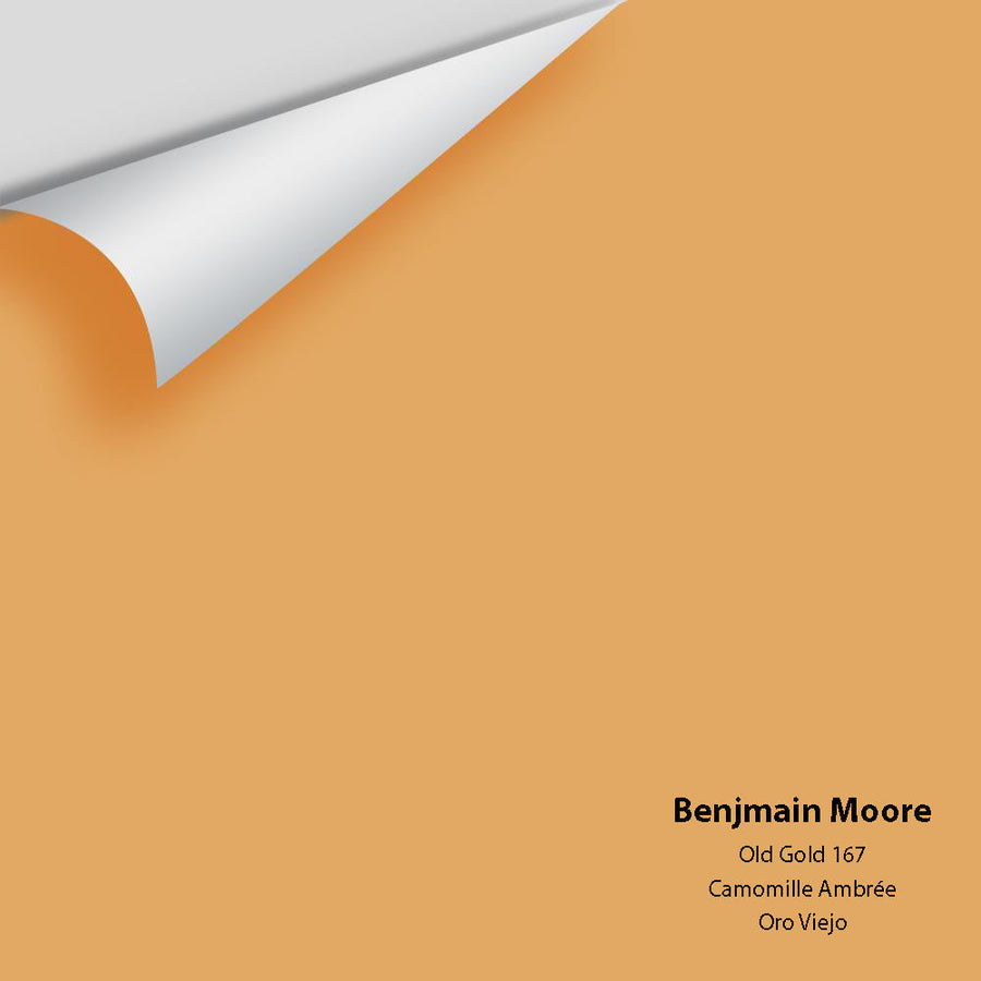 Digital color swatch of Benjamin Moore's Old Gold 167 Peel & Stick Sample available at Ricciardi BRothers in PA, DE, & NJ.
