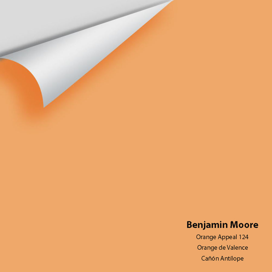 Digital color swatch of Benjamin Moore's Orange Appeal 124 Peel & Stick Sample available at Ricciardi BRothers in PA, DE, & NJ.