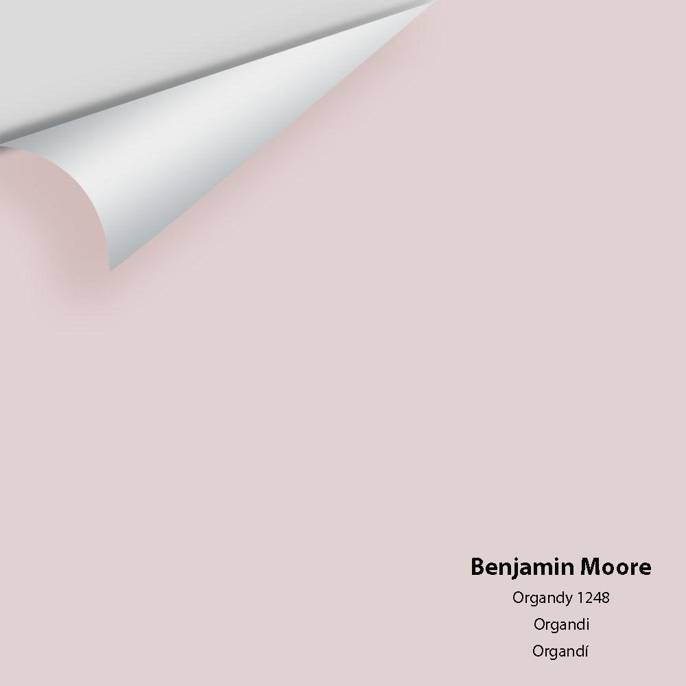Digital color swatch of Benjamin Moore's Organdy 1248 Peel & Stick Sample available at Ricciardi BRothers in PA, DE, & NJ.