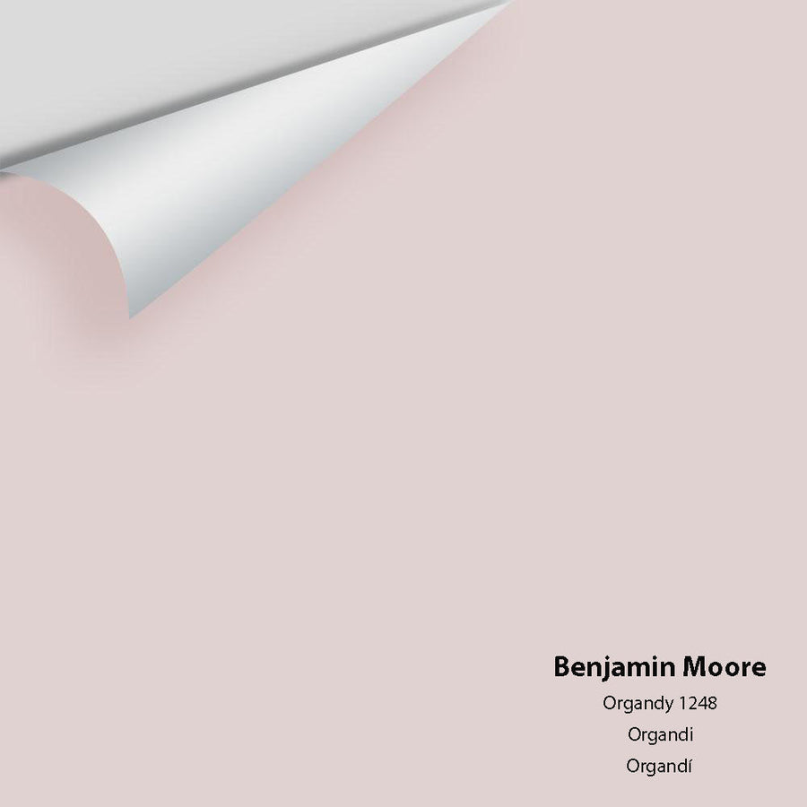Digital color swatch of Benjamin Moore's Organdy 1248 Peel & Stick Sample available at Ricciardi BRothers in PA, DE, & NJ.