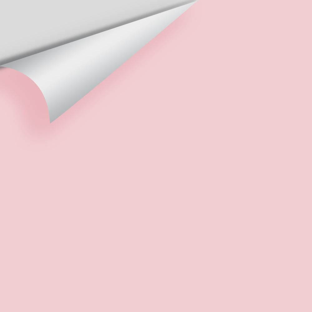 Digital color swatch of Benjamin Moore's Pink Pearl 2005-60 Peel & Stick Sample available at Ricciardi BRothers in PA, DE, & NJ.