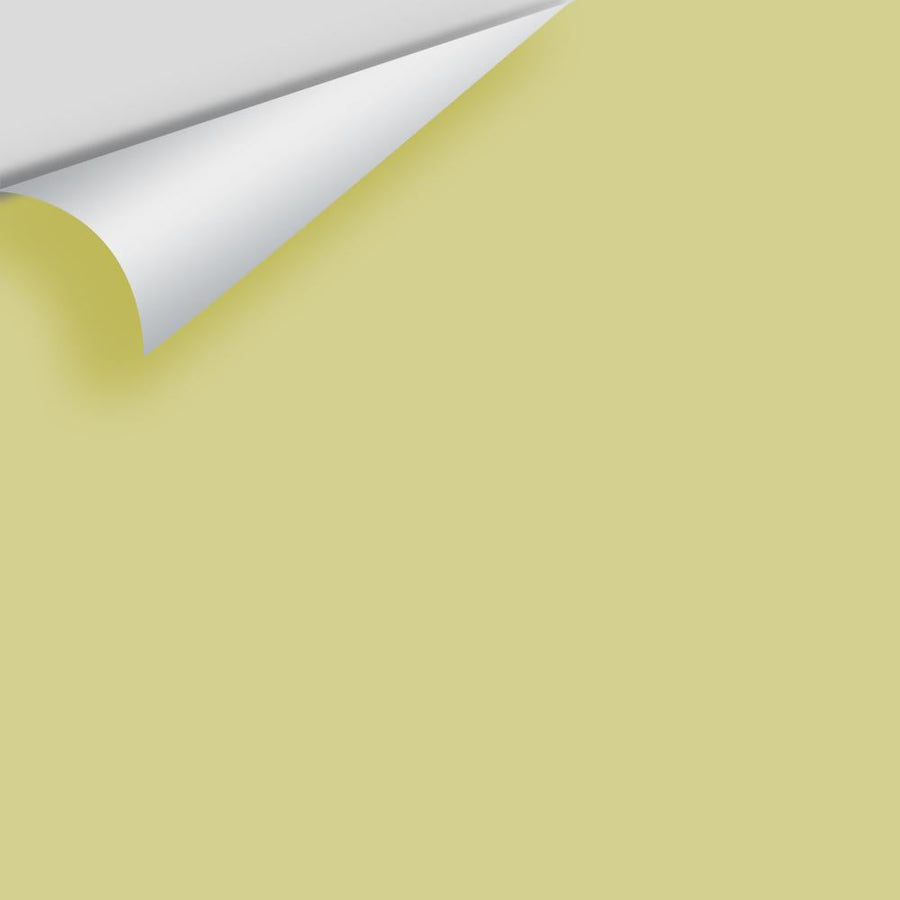 Digital color swatch of Benjamin Moore's Pale Avocado 2146-40 Peel & Stick Sample available at Ricciardi BRothers in PA, DE, & NJ.