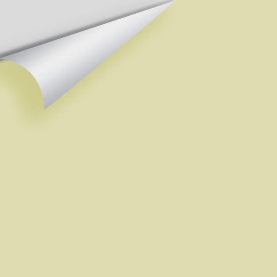 Digital color swatch of Benjamin Moore's Pale Sea Mist 2147-50 Peel & Stick Sample available at Ricciardi BRothers in PA, DE, & NJ.