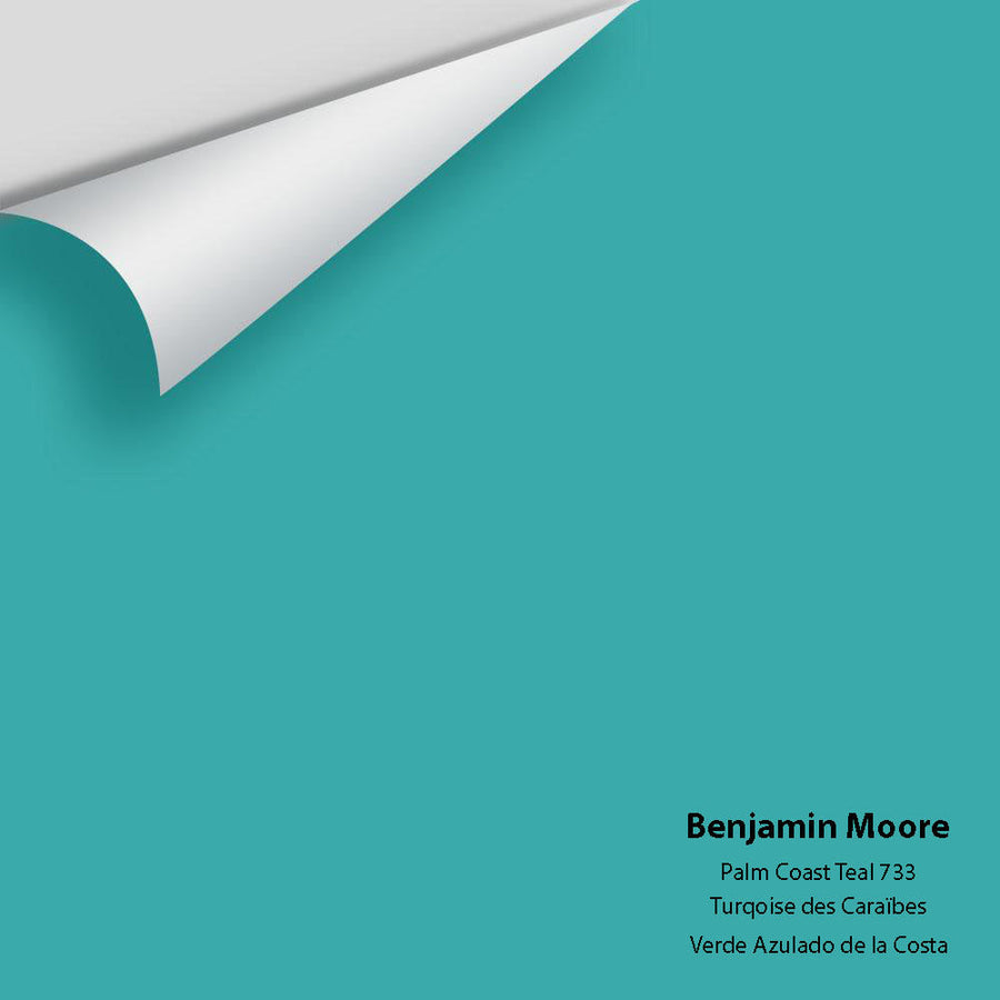 Digital color swatch of Benjamin Moore's Palm Coast Teal 733 Peel & Stick Sample available at Ricciardi BRothers in PA, DE, & NJ.