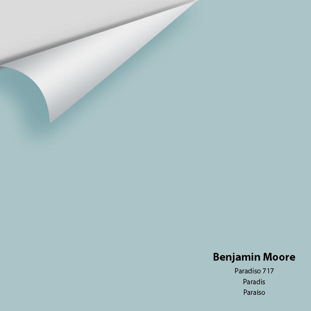 Digital color swatch of Benjamin Moore's Paradiso 717 Peel & Stick Sample available at Ricciardi BRothers in PA, DE, & NJ.
