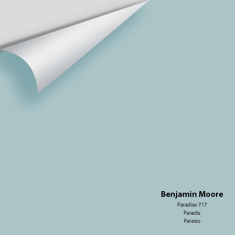 Digital color swatch of Benjamin Moore's Paradiso 717 Peel & Stick Sample available at Ricciardi BRothers in PA, DE, & NJ.
