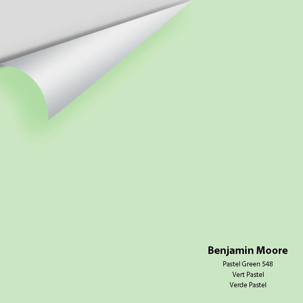 Digital color swatch of Benjamin Moore's Pastel Green 548 Peel & Stick Sample available at Ricciardi BRothers in PA, DE, & NJ.