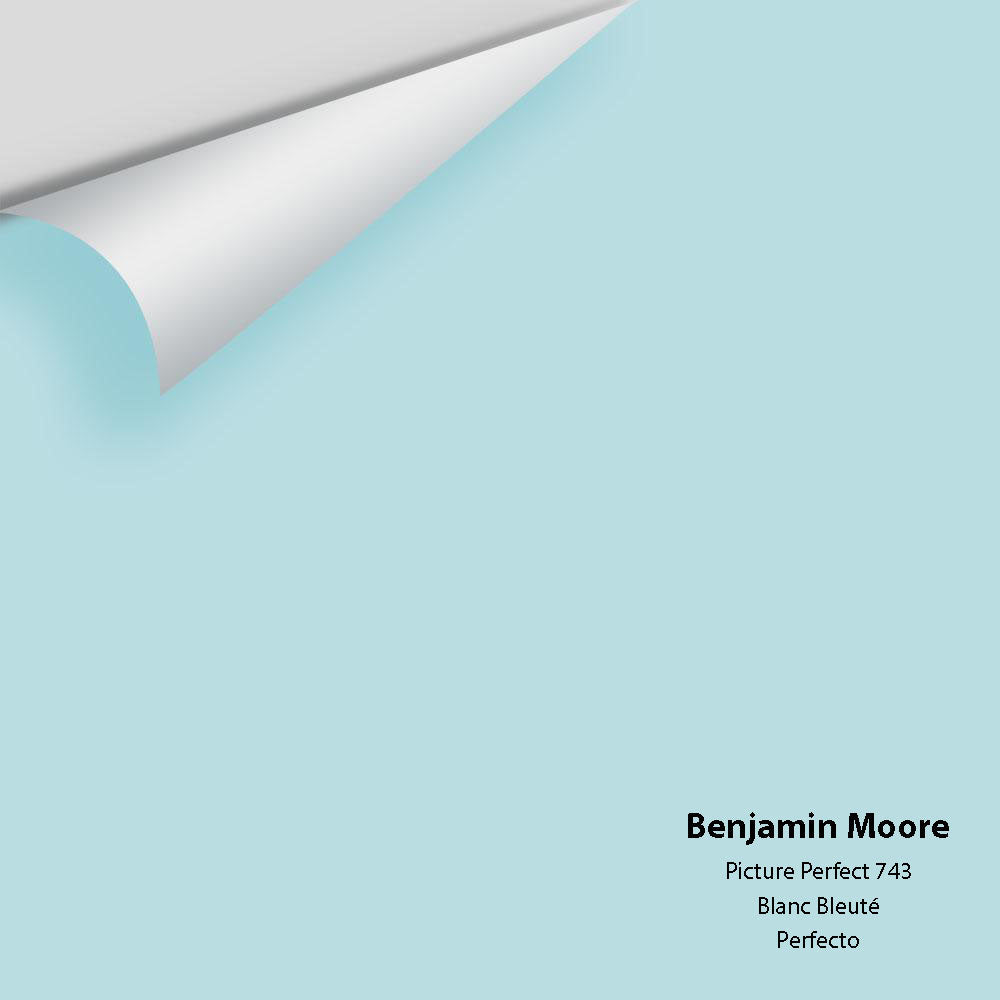 Digital color swatch of Benjamin Moore's Picture Perfect 743 Peel & Stick Sample available at Ricciardi BRothers in PA, DE, & NJ.