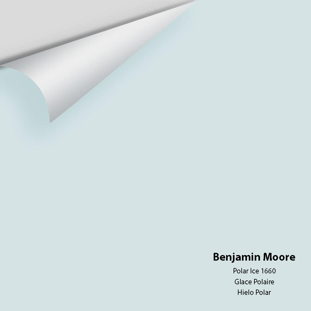 Digital color swatch of Benjamin Moore's Polar Ice 1660 Peel & Stick Sample available at Ricciardi BRothers in PA, DE, & NJ.