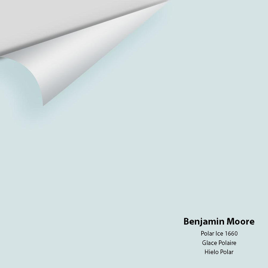 Digital color swatch of Benjamin Moore's Polar Ice 1660 Peel & Stick Sample available at Ricciardi BRothers in PA, DE, & NJ.