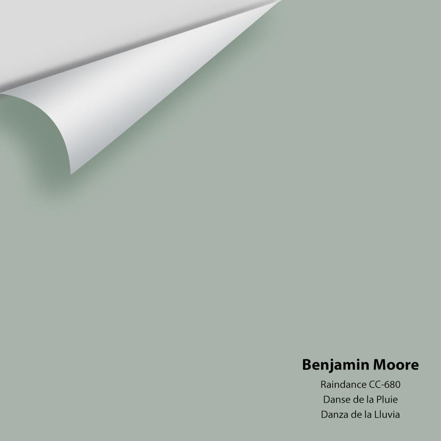 Digital color swatch of Benjamin Moore's Raindance 1572 / CC-680 Peel & Stick Sample available at Ricciardi BRothers in PA, DE, & NJ.