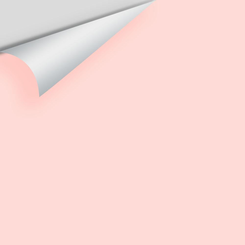 Digital color swatch of Benjamin Moore's Rose Reflection 2171-60 Peel & Stick Sample available at Ricciardi BRothers in PA, DE, & NJ.